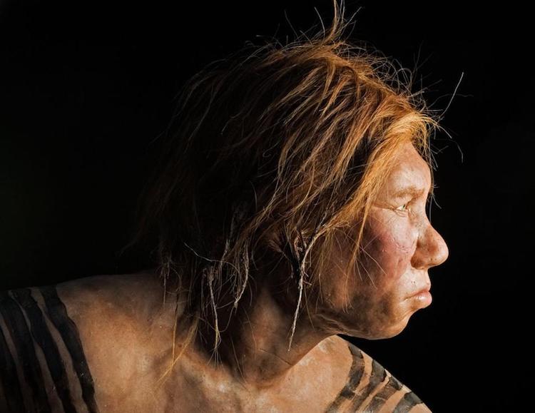Nesli Tükenen Neandertaller İspanya’da 3000 Yıl Daha Yaşadı