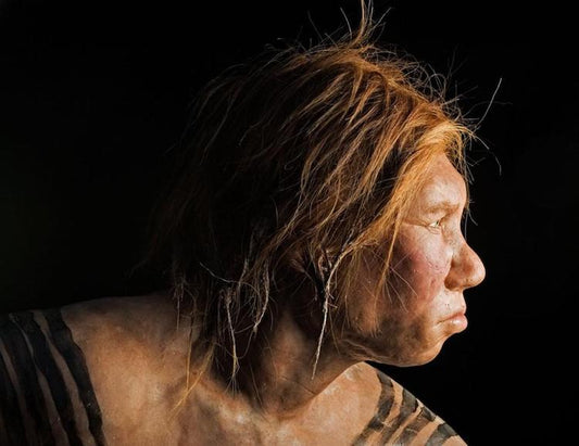 Nesli Tükenen Neandertaller İspanya’da 3000 Yıl Daha Yaşadı