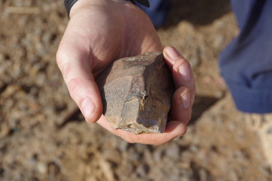 İlk İnsan Kültürü, Düşünülenden 20.000 Yıl Daha Uzun Sürdü
