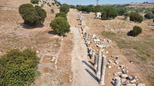 'Çukurova'nın Efes'i adım adım gün yüzüne çıkıyor