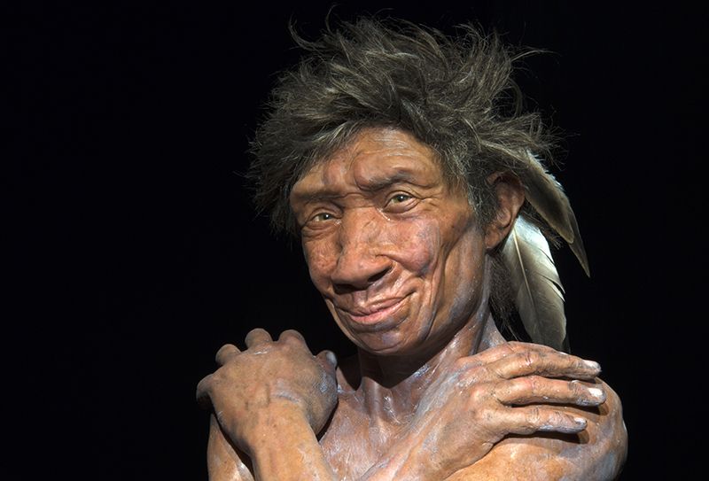 Neandertaller Kuşlardan Faydalanabilecek Yeteneğe Sahipti