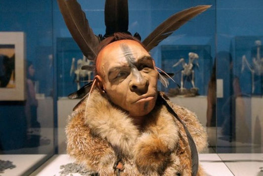 Neandertaller Deniz Ürünleri için Okyanusa Dalıyordu