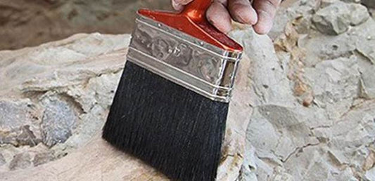 Danimarka'da 4 bin yıllık ev bulundu