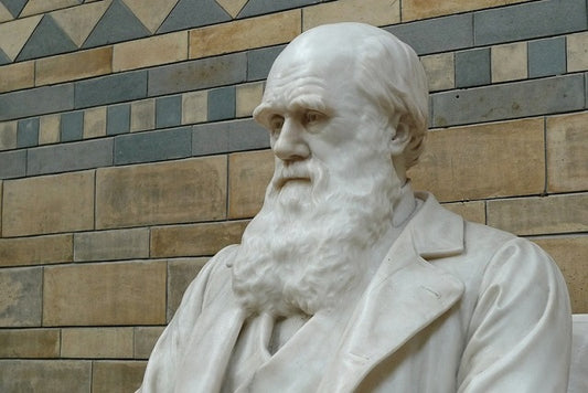 Darwin, Modern Bilimsel Teorilerin Habercisiydi