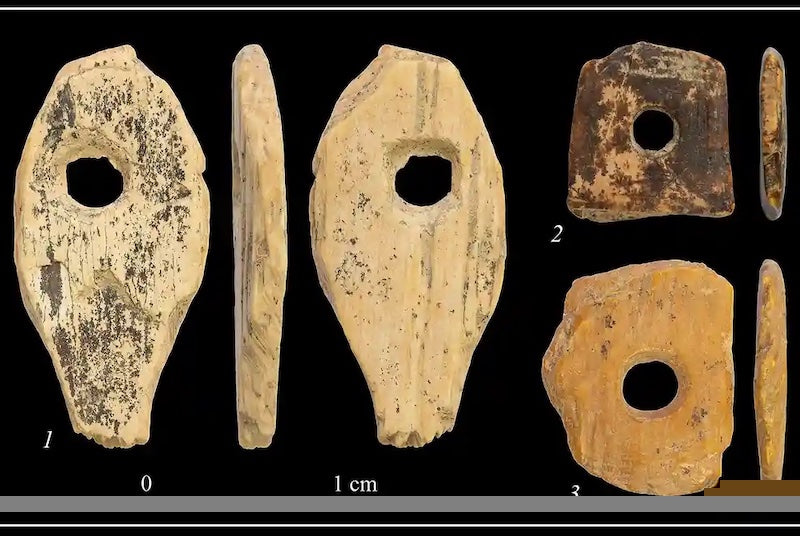 Sanat Üretimi Homo sapiens ile Başlamadı