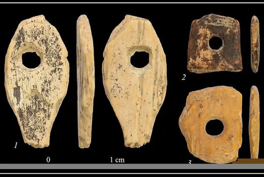 Sanat Üretimi Homo sapiens ile Başlamadı