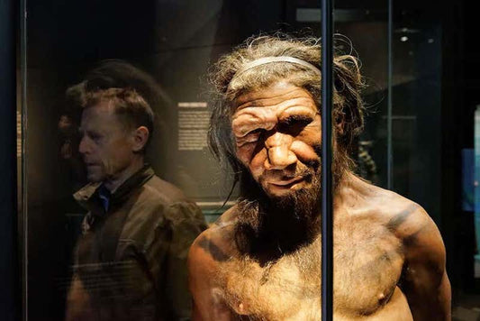 Melanezyalılarda Neandertallere Ait Uzun DNA Zinciri Bulundu