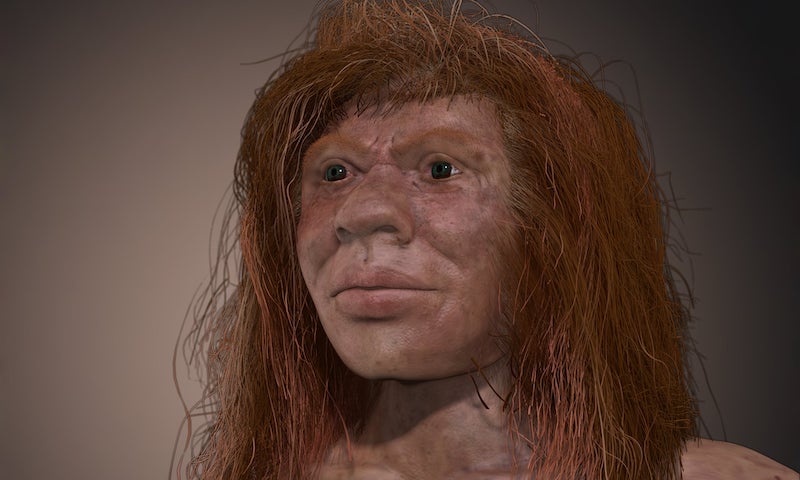 Neandertal ve Denisovalı Melezi Denny ile Tanışın