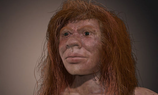 Neandertal ve Denisovalı Melezi Denny ile Tanışın