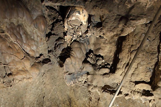 Mağarada Bulunan 5.600 Yıllık Kafatasının Gizemi Çözüldü