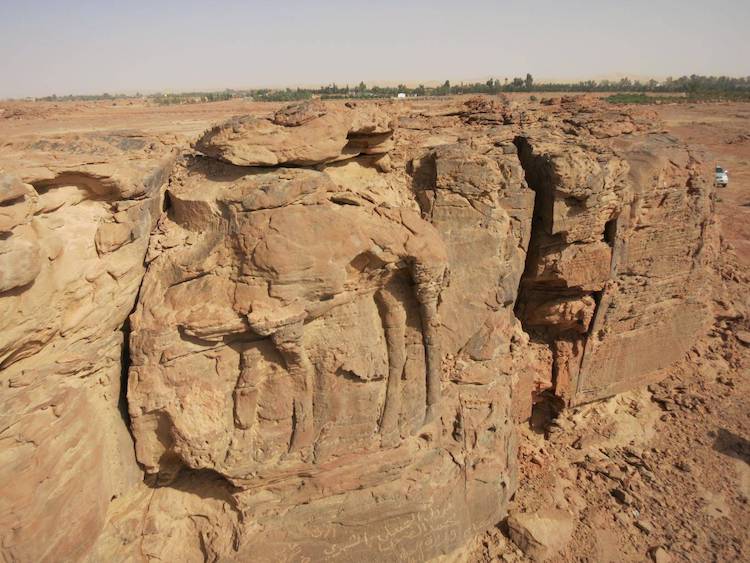 Arabistan Çölünde 2.000 Yıllık Deve Kabartmaları Bulundu