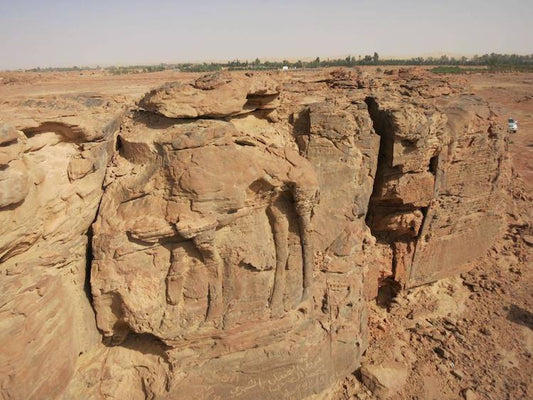 Arabistan Çölünde 2.000 Yıllık Deve Kabartmaları Bulundu