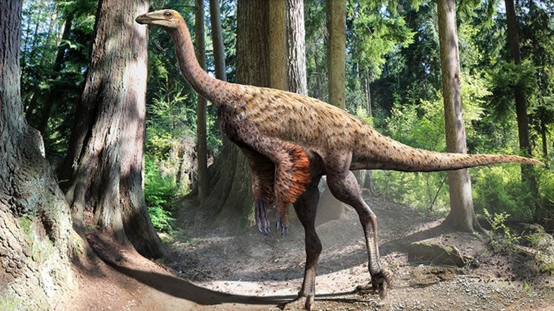 Kanada’da Devekuşuna Benzer Bir Dinozor Fosili Bulundu