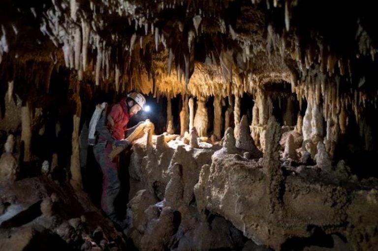 Akdeniz’deki Neandertaller İklim Yüzünden Yok Olmadı