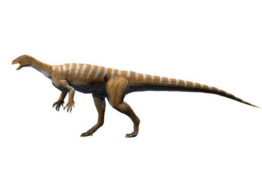 Devasa Diplodocus’un Atası İki Ayaklı Hızlı Koşan Bir Türdü