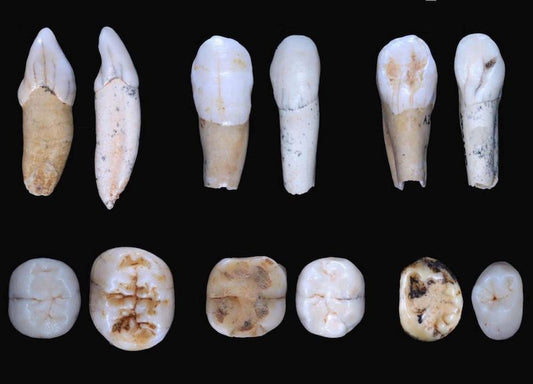 Neandertaller Avrupa Kökenli Olmayabilir