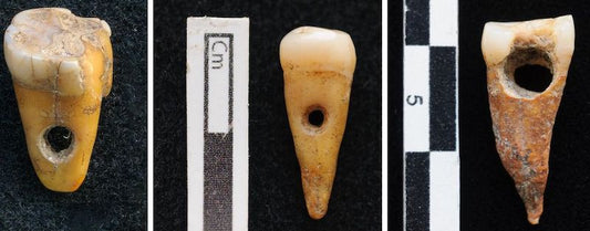 Çatalhöyük’te İnsan Dişinden Yapılmış Takılar Bulundu