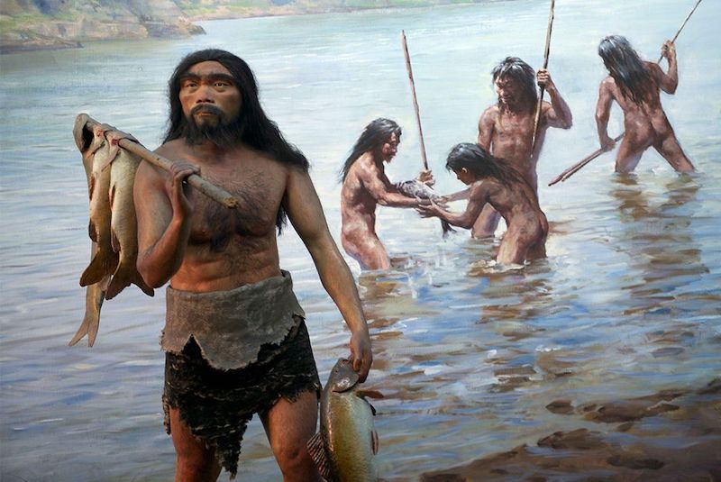Gerçek Paleo Diyet Toksik Metallerle Dolu Olabilir