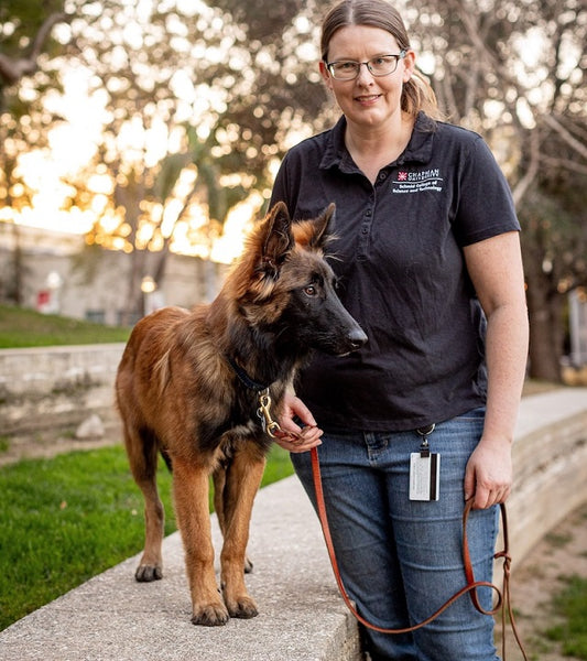 Köpekler Irkları Sanıldığı gibi Belirli İşlevler için Yetiştirilmemiş