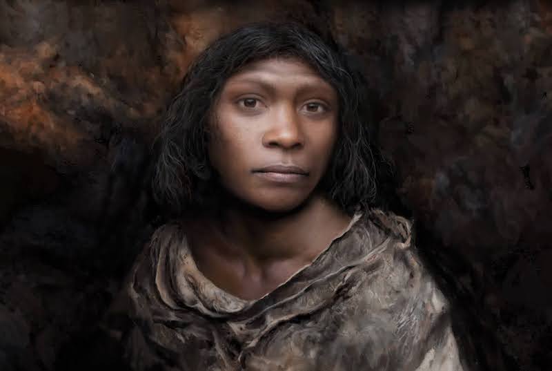 800.000 Yıllık Homo antecessor Fosili, Bir Kıza Ait Çıktı