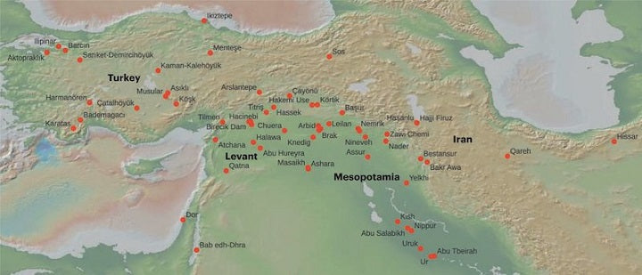 İlk Şehirler Kurulurken Kafa Travmalarında Ciddi Artış Oldu