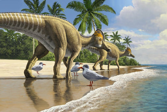 Bulunan Fosil, Dinozorların Okyanus Aştığını Gösteriyor