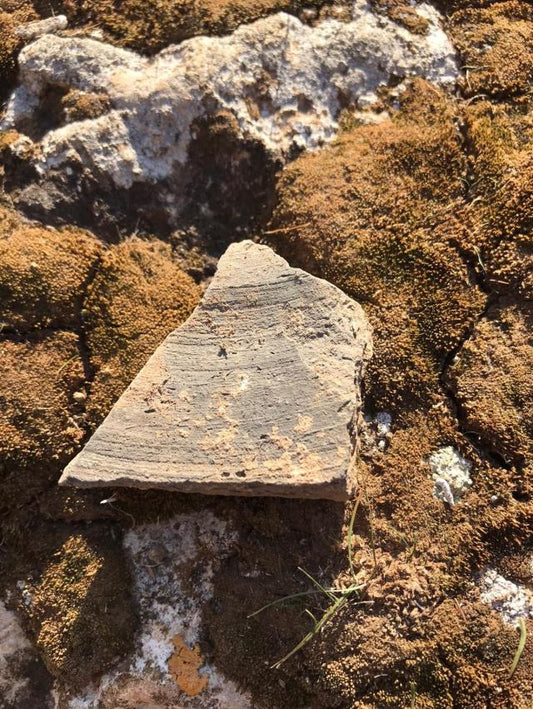 Duyarlı vatandaşın CİMER'e başvurusu sonrası Mardin'deki höyük koruma altına alındı