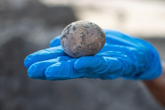 Arkeologlar 1.000 Yıllık Sağlam Bir Tavuk Yumurtası Keşfetti