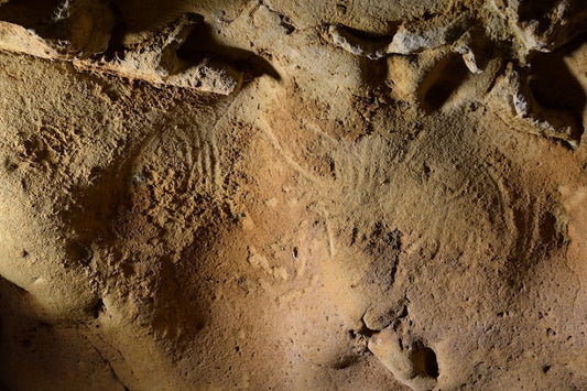 Fransa’da 75.000 Yıllık Neandertal Gravürleri Bulundu!