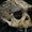 Homo Erectus Endonezya’ya 1.3 Milyon Yıl Önce Ulaşmış