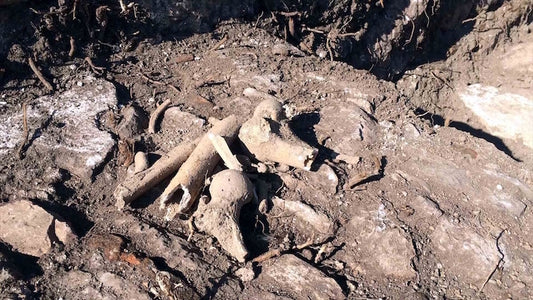 Tarihi Rum Kilisesinin Bahçesinde İnsan Kemikleri Bulundu