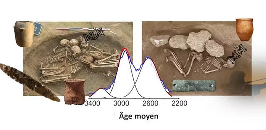 Bu Toplu Mezar, Avrupa Genomunun Oluşumunu Aydınlatıyor