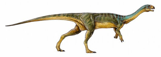 Şili’de T. Rex’in Kuzeni Yeni Tür Vejeteryan Dinozor Bulundu