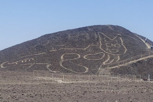 Peru’da 2.000 Yıllık Dev Kedi Jeoglifi Keşfedildi