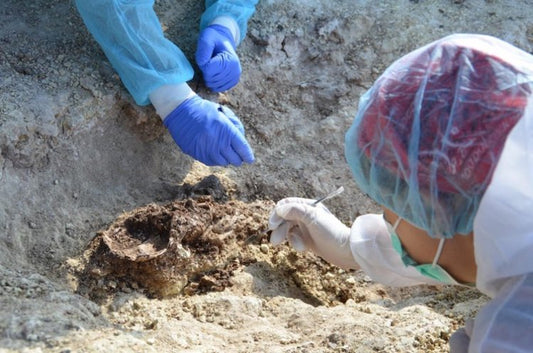 Fenikeli Kadınlar MÖ 1. Binyılda Konum Değiştiriyordu