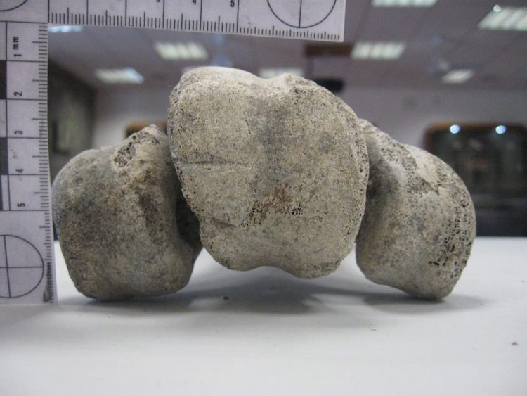 İnsanlar Madagaskar’a 10.500 Yıl Önce Ulaşmış
