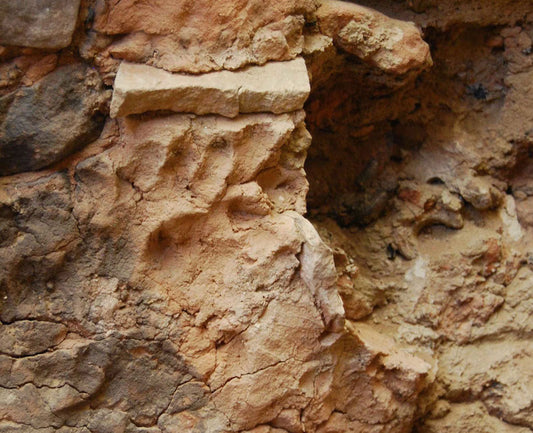 Antik Chaco Kültüründe Fazla Parmaklılara Saygı Gösteriliyordu