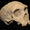Neandertaller İlk Keşfedildiğinde Nasıl Açıklandı?