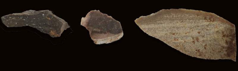 Homininler Taş Alet Yapmak için Ateş Kullanıyordu