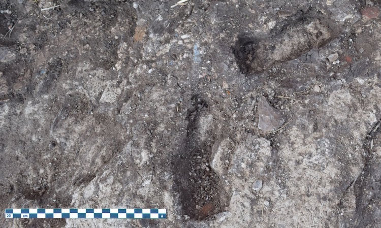 Firavun Ramses’in Başkentinde Çocuk Ayak İzleri Bulundu
