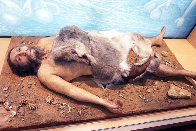 Neandertal Yok Oluşunda Gebelik Komplikasyonları Etkiliydi