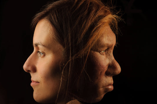 Doğal Seçilim İnsan Genomundaki Neandertal Genini Büyük Oranda Yok Etti