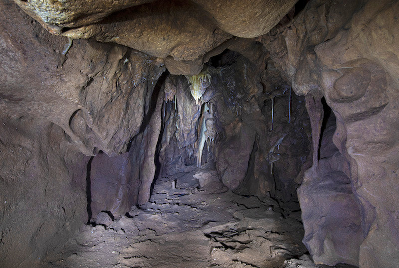 Bu Mağara, Neandertallerin Son Sığınaklarından Biri Olabilir