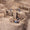 Göbekli Tepe Haziran Ayında Ziyarete Açılabilir