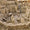 Göbeklitepe’den Sorumlu Müze Müdürü Görevden Alındı