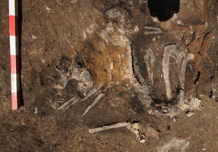 Got İstilasının Ender Kalıntıları Yanmış İskeletler Bulundu