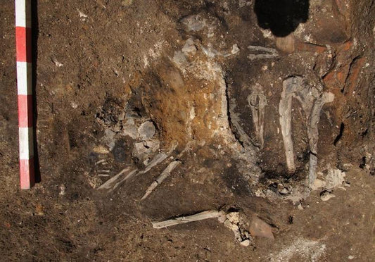 Got İstilasının Ender Kalıntıları Yanmış İskeletler Bulundu