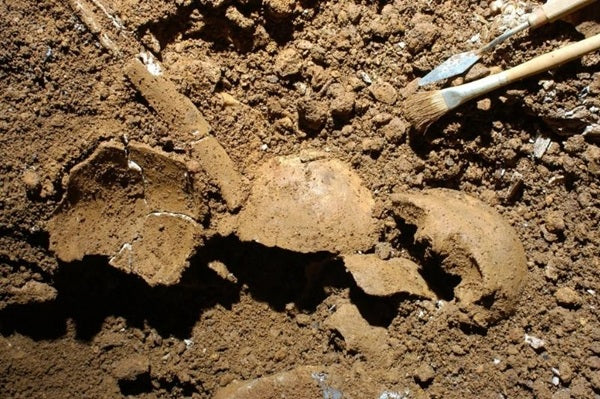 DNA Analizi Calabria’nın Tarihöncesi Sosyal Yapısını Aydınlatıyor