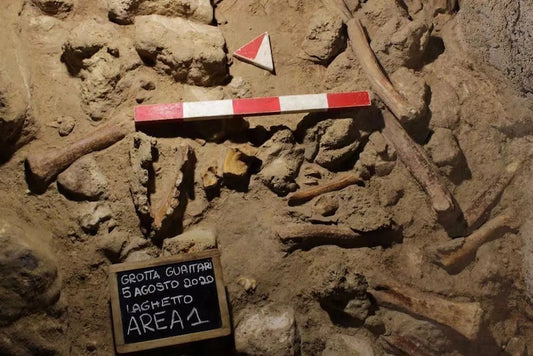 Roma’daki Bir Mağarada Dokuz Neandertal Kalıntısı Bulundu