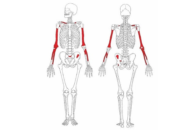 Homo habilis’e Ait 2 Milyon Yıllık En Eksiksiz İskelet Bulundu